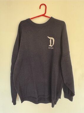 Disneyland Spirit Jersey sweater